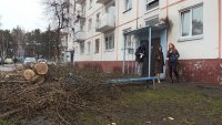 Спиленными деревьями завалили подъезд на Бортникова, 26