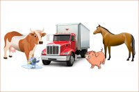 Ужесточены ветеринарные правила перевозки домашнего скота и домашних птиц