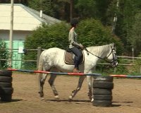 В ЦЭКиТ при работе детей с лошадьми усилили меры безопасности