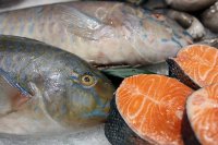Что поможет сохранить рыбные запасы и рыболовство?