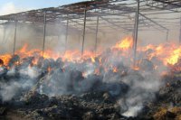Пожар в сенохранилище «Искры» не нанес большого ущерба хозяйству