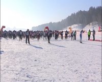 12 февраля в городе пройдет Всероссийская массовая акция «Лыжня России-2017»