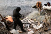 Пятерых браконьеров задержали сотрудники рыбнадзора на реке Кан