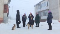 Жителей Орловки в страхе держат собаки на самовыгуле