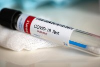 В Зеленогорске сегодня зарегистрировано 11 заболевших новой коронавирусной инфекцией