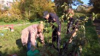 В память о погибших в годы войны в детском доме посадили деревья