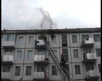 Пожарные спасали из огня животных