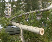 Предприятия назвали ущерб, нанесенный  стихией 22 августа -  почти  полтора миллиона рублей
