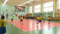 В Зеленогорске стартовало Первенство Красноярского края по волейболу среди юношей 2004 - 2005 годов рождения