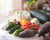 Горожане поделились излишками овощей