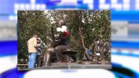 Вандалы испортили скульптуру «Уличного музыканта», установленную в Красноярске на набережной