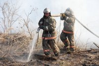 Охранять леса от пожаров в восточной группе районов края будут более 280 лесных огнеборцев