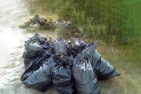 На субботниках уже собрали порядка 80 кубометров мусора