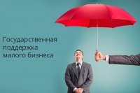 Пять миллионов рублей на поддержку предпринимателей получит Зеленогорск