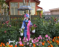 Двор частного дома хозяйки Нины Васильевны оценят в конкурсе