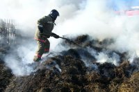 В тушении пожара в сенохранилище хозяйства «Искра» принимали участие 4 подразделения СУФПС-19