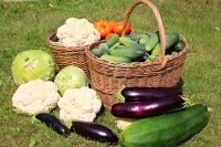 Сто килограммов овощей и корнеплодов собрали во время акции «Поделись урожаем»
