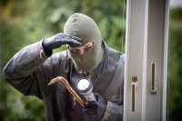 Сотрудники полиции раскрыли кражу из садового домика