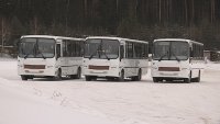 На муниципальных маршрутах вскоре будут ходить новые автобусы