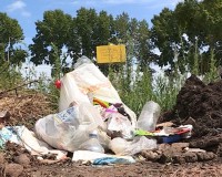 Комитет по охране окружающей среды проверил, как в садоводствах №1 и №6 вывозят твердые бытовые отходы