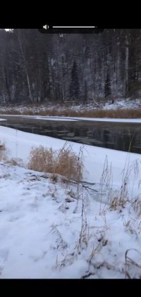 Зеленогорские спасатели помогли охотнику выбраться из тайги