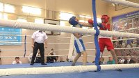 В Зеленогорске прошло краевое первенство по боксу среди юноше