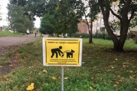 В городе начали устанавливать таблички "Убери за своей собакой"