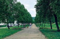 Зеленогорцы выбрали благоустройство бульвара «Комсомольский»