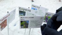 Дети придумывают проекты, как улучшить городское пространство