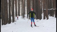 В Зеленогорске началась подготовка лыжных  трасс и заливка катков