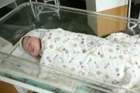 Первым младенцем в Зеленогорске в новом году стал мальчик