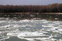 На реках Зеленогорска начался подъём уровня воды