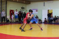 В Зеленогорске впервые пройдет чемпионат города по греко-римской борьбе