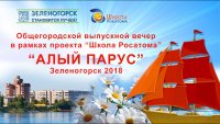 5 июля начинается голосование за видеоролик о праздновании Алого паруса в Зеленогорске