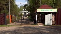 В зеленогорском зоопарке новые жители – кенгуру Беннета