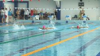 В Зеленогорске прошел чемпионат края по плаванию среди ветеранов