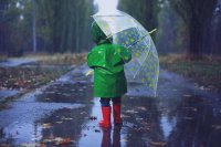Синоптики обещают красноярцам дождливую погоду