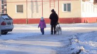 Хозяйка собаки-поводыря жалуется, что не все с пониманием относятся к ее питомцу