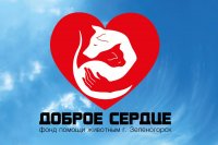 «Доброе сердце» - праздник двора пройдет у 172 школы