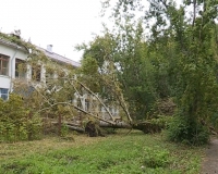 В субботнем урагане пострадал десятилетний гость из Петербурга