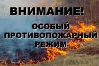 С сегодняшнего дня в Зеленогорске введен особый противопожарный режим