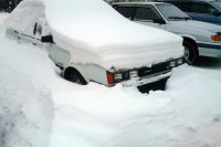 Автомобили-подснежники мешают коммунальщикам убирать снег