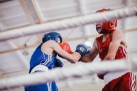 В Зеленогорске пройдет первенство Красноярского края по боксу среди юношей 13-14 лет