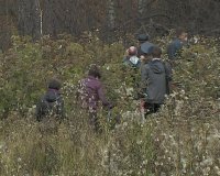 Зеленогорские полицейские нашли потерявшегося пенсионера
