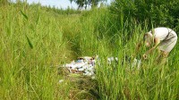 Экологи выясняют, откуда появился мусор около бассейна «Волна»