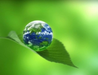 Зеленогорск стал одним из победителей всероссийского экологического конкурса