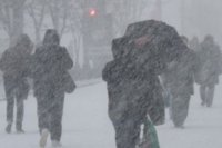 Штормовой ветер и мокрый снег оборвали провода в Красноярском крае и Хакасии