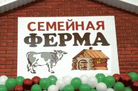 Фермерам Красноярского края выдадут гранты до 30 млн рублей