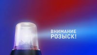 Сотрудники бородинской дорожной полиции ищут очевидцев ДТП