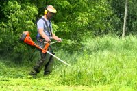 КБУ начал третий в этом сезоне, завершающий укос травы на городских газонах
